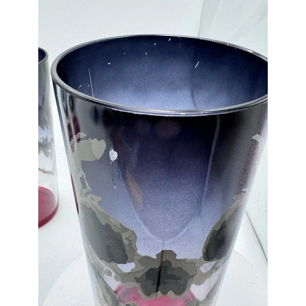 Halloween Skeleton Plastic Glasses Set of 4 20oz